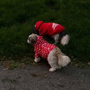 Meet your Posher, Staci